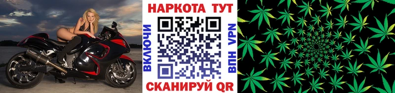Где можно купить наркотики Новоалександровск КОКАИН  Конопля  Галлюциногенные грибы  ГАШИШ  Мефедрон 
