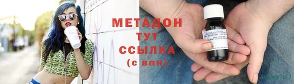 прущие грибы Алексеевка