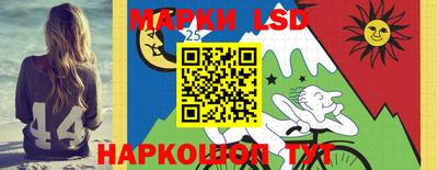 дживик Сланцы