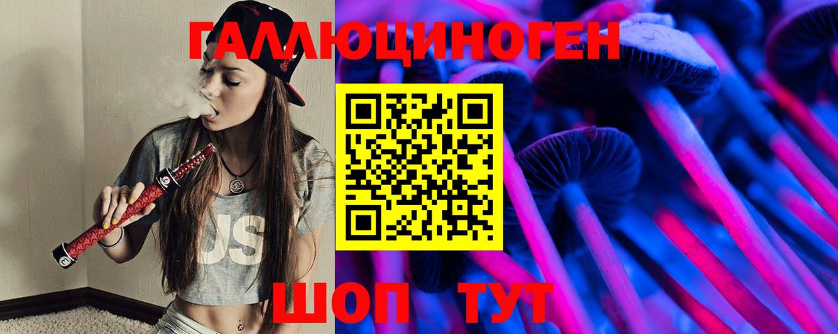 Новоалександровск  Псилоцибиновые грибы MAGIC MUSHROOMS  Вход с VPN 
